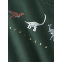 NAME IT Sweatshirt Nilius Sycamore